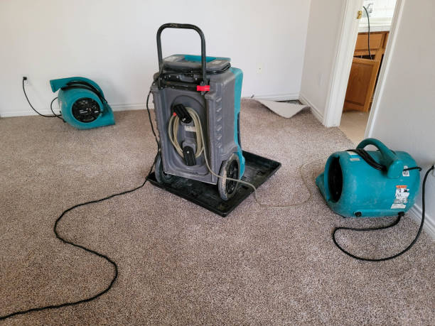 Best Water damage repair service  in Arlington, MN