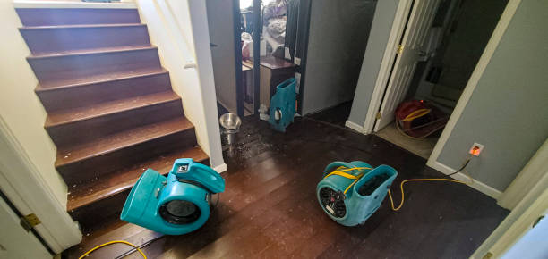 Best Professional water damage repair  in Arlington, MN