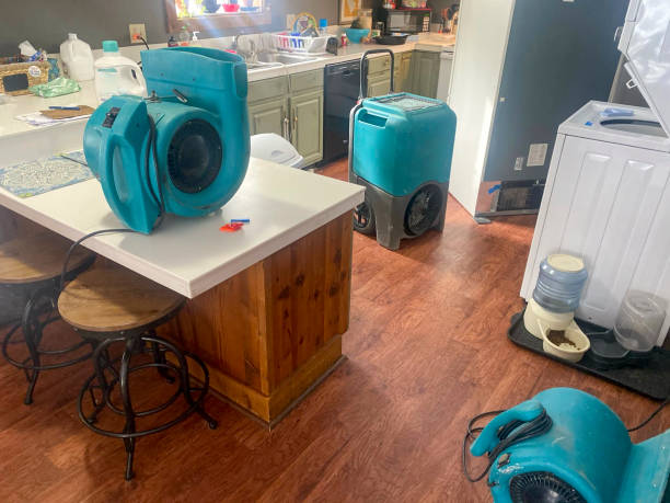 Best 24/7 water damage repair  in Arlington, MN