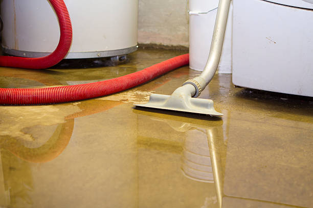 Best Carpet water damage restoration  in Arlington, MN