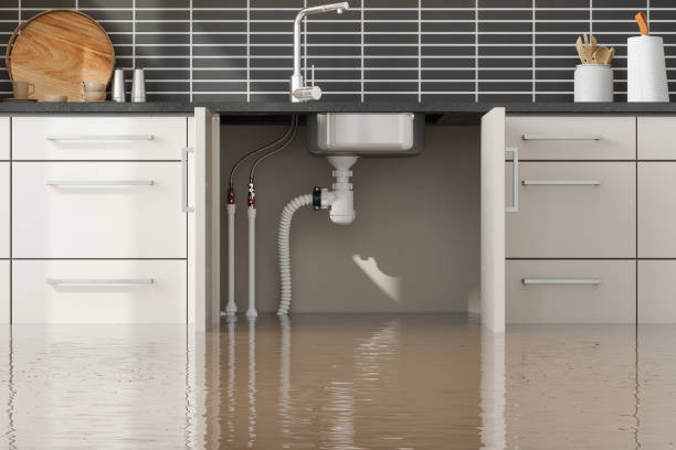 Best Local water damage restoration  in Arlington, MN