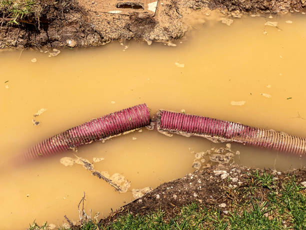Best Water damage restoration near me  in Arlington, MN