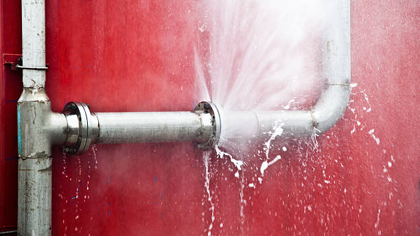 Best Sewage cleanup and water damage restoration  in Arlington, MN
